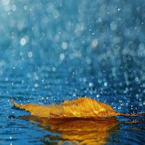 林黛玉的乳头图片大全无遮挡图
