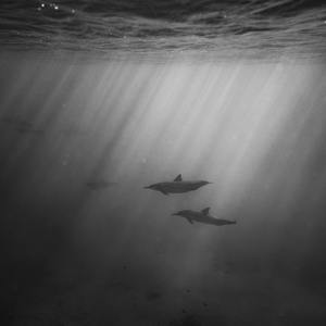 林黛玉的乳头图片大全无遮挡图
